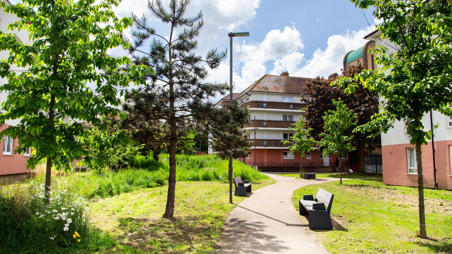 A sunny tree-lined path between brick and render housing blocks, with a wooden bench adjacent to the path.