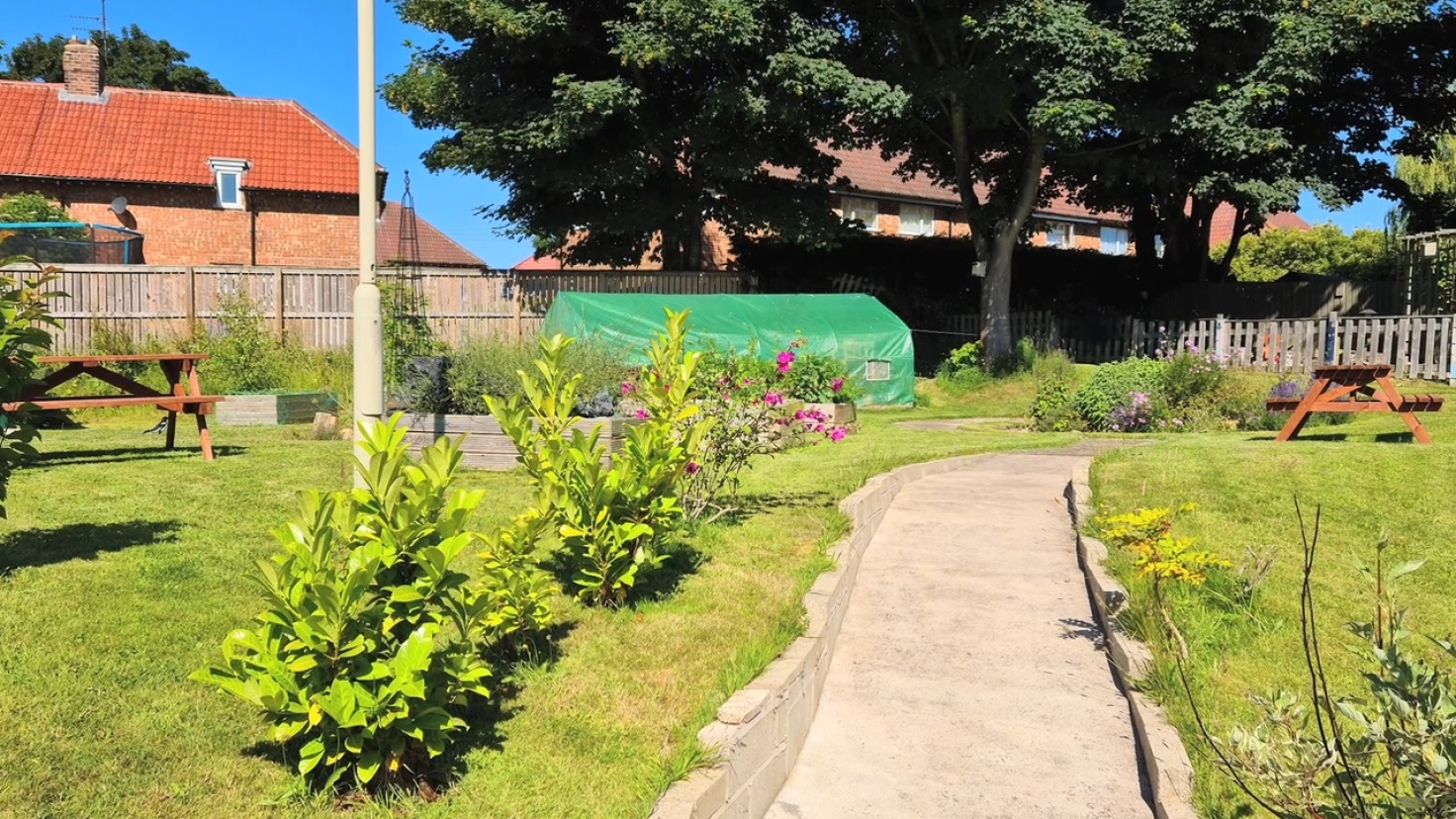 A sunny path lined with neat shrubs, leading to a tree-covered picnic table.
