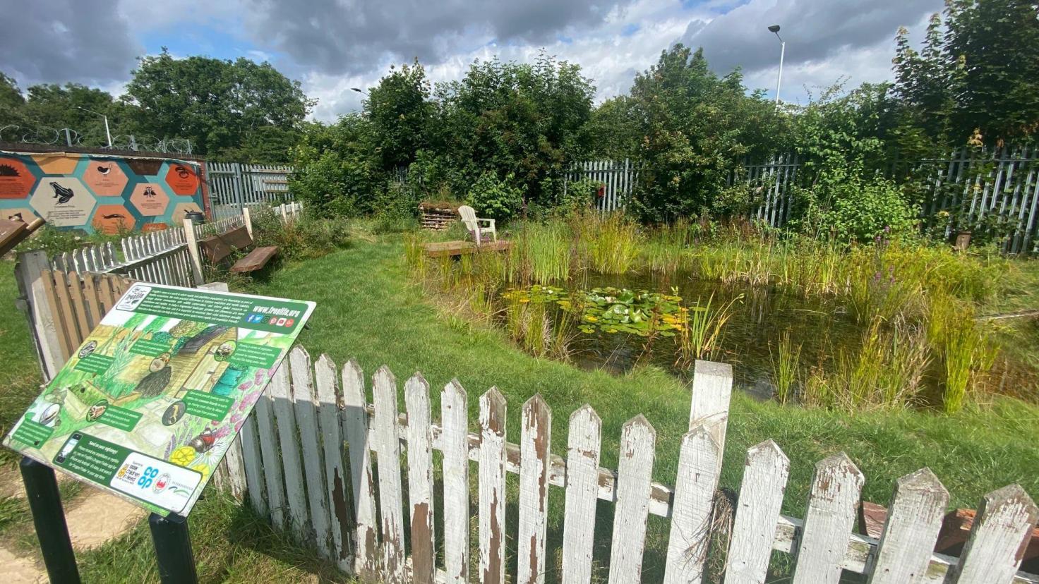 Frog pond surrounded by white picket fence with an information board at WestRaven community garden.