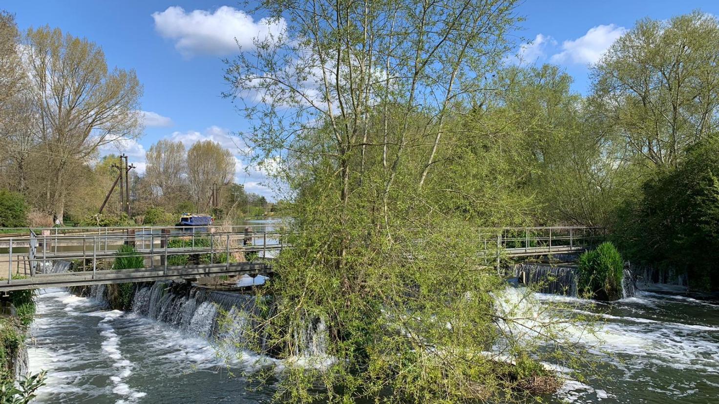 A pedestrian bridge over a fast-flowing river, with trees on either side and in the middle.