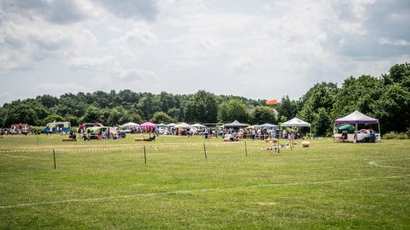 A festival in a large field, with stalls and pergolas.
