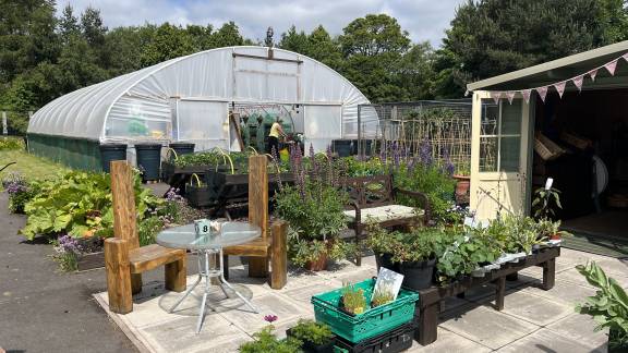 Greenhouse with vegetables and plants alongside wooden seats and tables in a community garden