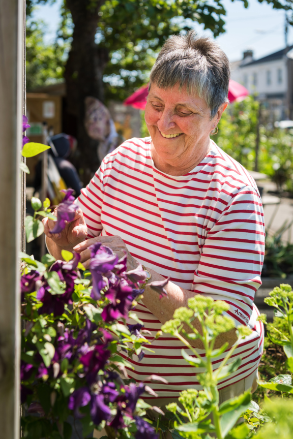 An older woman with short grey hair smiles while looking down at and tending purple clematis flowers. She is wearing a white and red stripey horizontal top and stands in a sunny garden with a tree and houses in the background.