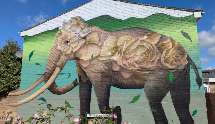 A mural on the gable side of a house featuring a large elephant with roses covering it's face and body.