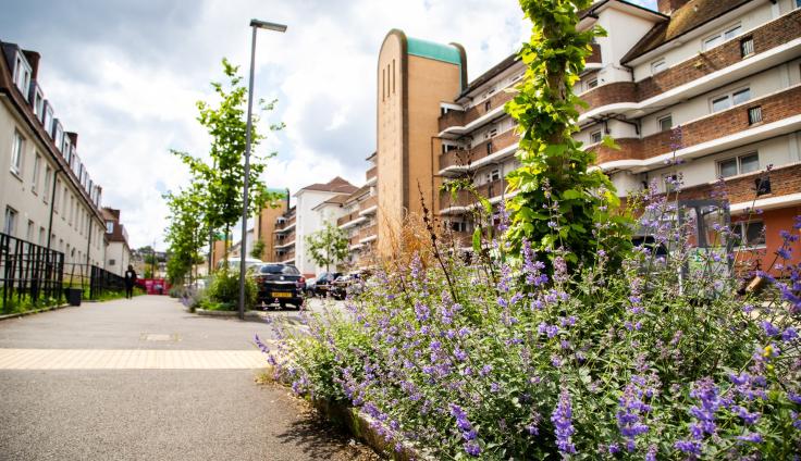 A colourful flower bed in front of a red brick apartment building.