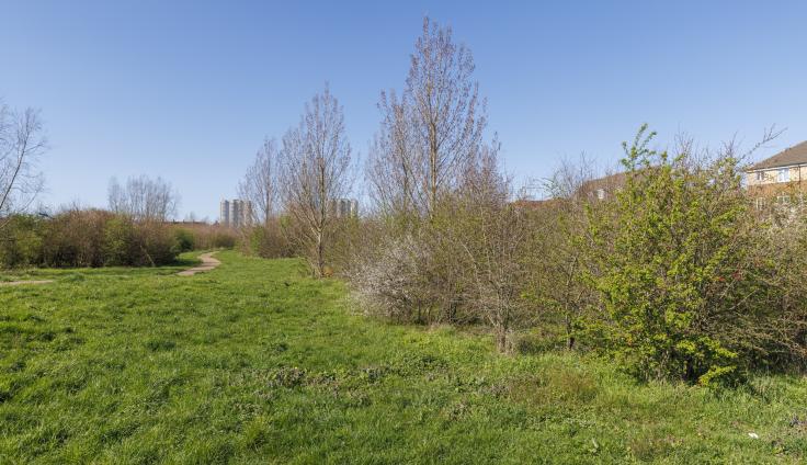 An area of scrubland adjacent to housing, with a winding path in the distance.