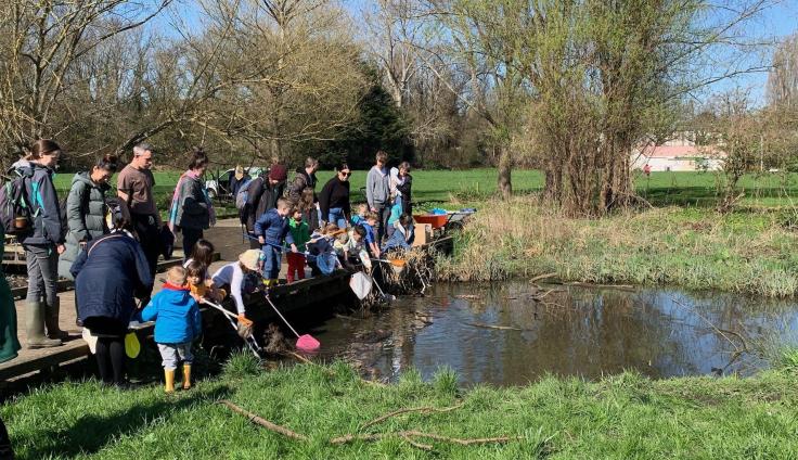Members of the community standing on a wooden jetty with nets over a small pond.