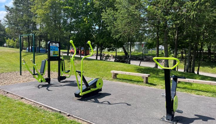 Outdoor gym equipment in a sunny park, adjacent to trees.