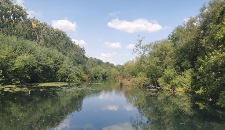 Reflective water with green trees on either side