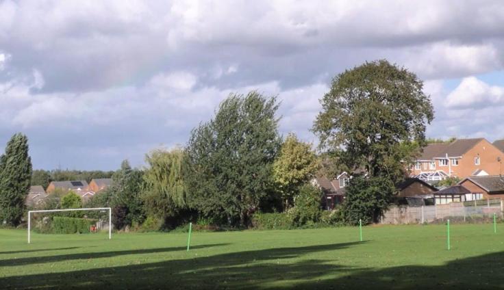A recreation park bordered with housing, with green grass, mature trees edging the park and sports equipment including goalposts and tennis nets.