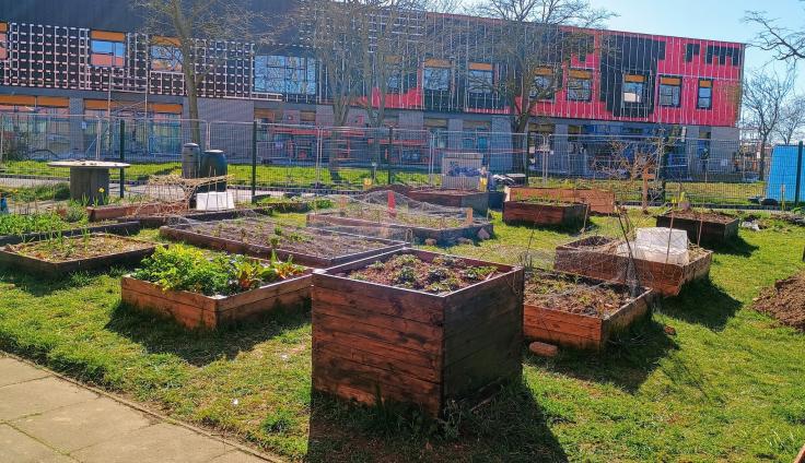 Raised beds in a grassy area in front of a modern office block.