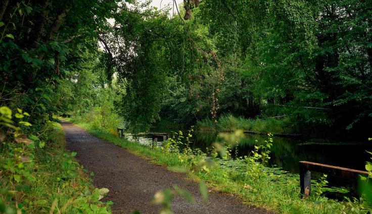A canal surrounded by trees, with a tow-path adjacent.