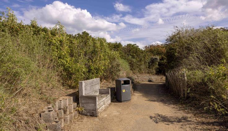 A wooden bench and black bin on a sandy path with green shrubbery either side.