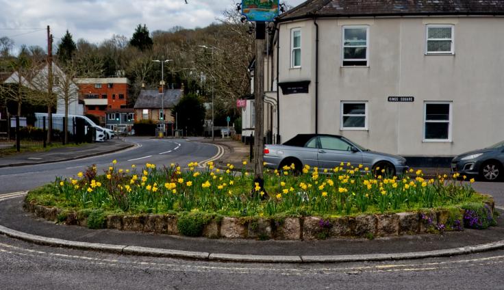 A roundabout full of daffodils in bloom.