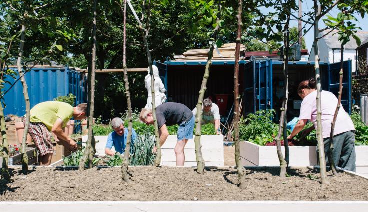 A community garden with storage containers in the background and wooden planters in the foregound. Five people of different ages are tending to thriving vegetable plants.