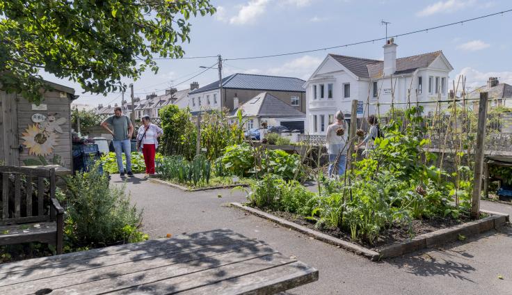 A man in a green tshirt and blue jeans and a woman in a stripey white and red top and red trousers stand on concrete and look at a shed in a community garden on the left. On the right, there are two vegetable patches with leeks, corn, artichokes, beans and other plants growing. In the background is a row of houses and blue sky with some white clouds in it. The foreground has a worn wooden table and part of a wooden bench.