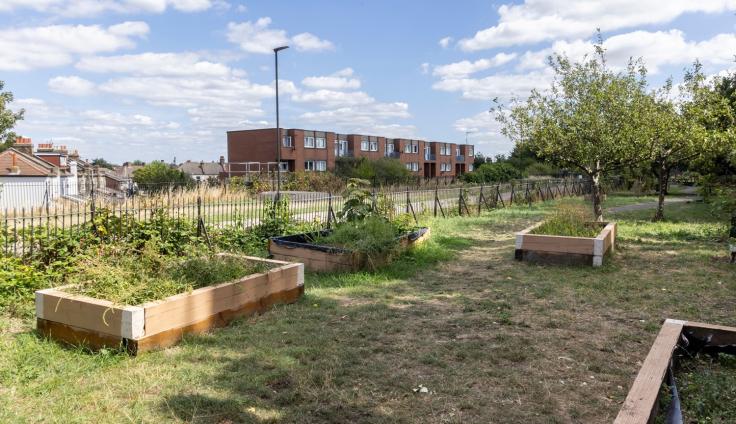 A green area showing raised beds made with sleepers and trees.