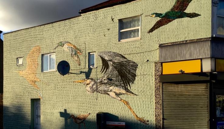 A low-rise block of flats with a sunlit mural depicting a cormorant, heron, kingfisher and other birds in flight against a light green background. There is a closed shuttered door of the corner shop.