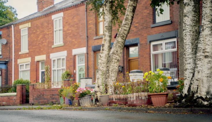 Two-storey red brick houses with trees and flower pots alongside the tarmacked road