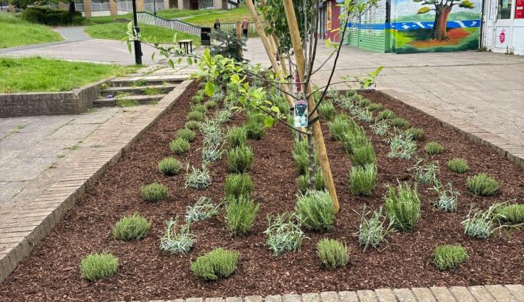 A raised brick planter containing different herbs and fruit trees, like rosemary and apple, with shops and apartments in the background.