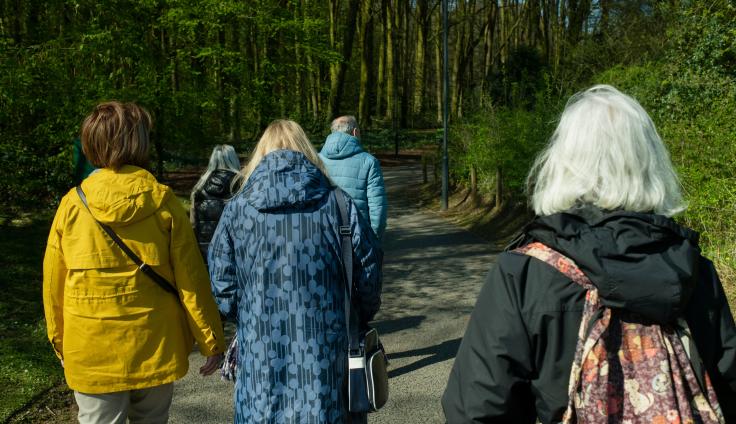 Four people walk along a sunlit concrete path in a dense forest, with their backs to the camera. A man with short grey hair wears a light-blue puffa jacket, the woman next to him with long grey hair wears a black puffa jacket. In the foreground, a woman on the left wears a yellow raincoat, the woman next to her wears a blue raincoat with a black pattern and a blue and white shoulder bag. A woman with white hair has a black jacket on and a colourful backpack.