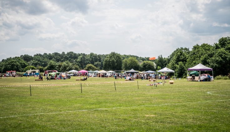 A festival in a large field, with stalls and pergolas.