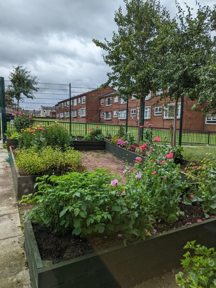 Raised planters containing flowers and small trees in front of housing.