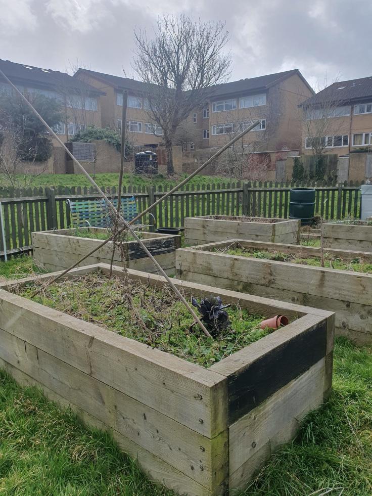 Raised beds built with railway sleepers in the centre of a housing complex.
