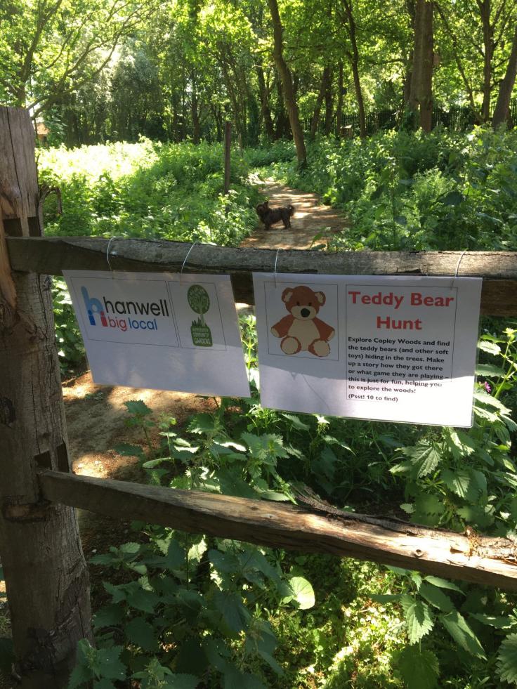 A woodland scene with a poster for a Teddy Bear Hunt affixed to a wooden fence.