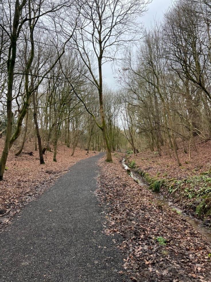 An autumnal footpath leading through bare winter trees.
