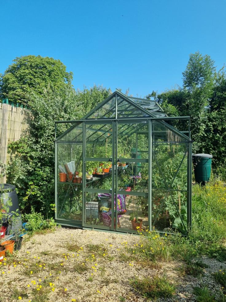 A full greenhouse in a grassy and well-planted area on a sunny day.