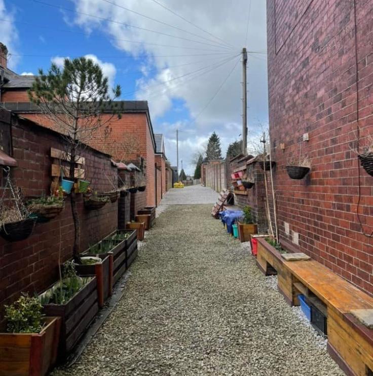 A narrow alleyway between houses with wooden planters displaying small trees and shrubs.