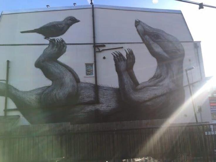 The side of a house shows a giant greyscale drawing of a badger lying on its back with a bird balancing on its toes. There is a wooden fence in the foreground, a sliver of blue sky above and a ray of sunlight coming from the right of the frame.