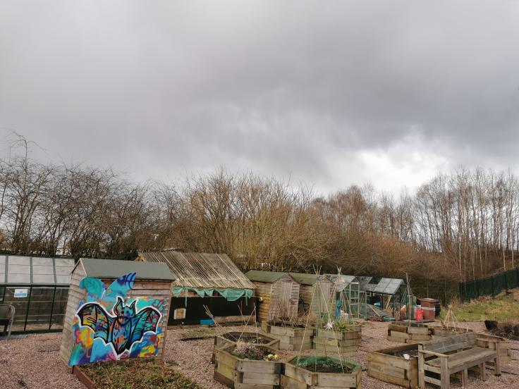 Raised beds and a colourful mural of a bat in an area surrounded by bare trees.